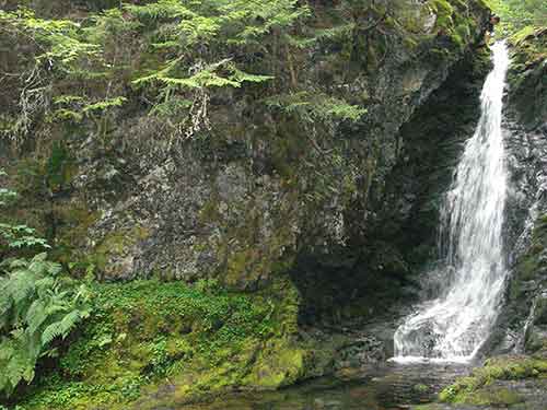 Waterfall Rock